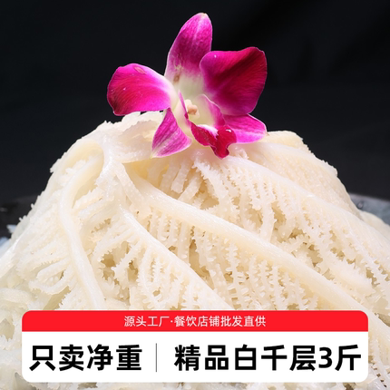 精品白千层肚毛肚毛肚新鲜5斤装火锅串串涮菜食材商用生鲜牛百叶