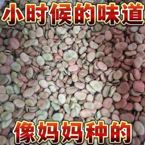 老品种胡豆重庆四川罗汉豆小胡豆本地干胡豆农家自种食用小蚕豆