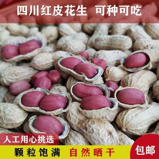 四川红皮花生带壳两粒红花生农家晒干可种新年新货薄皮带皮生花生