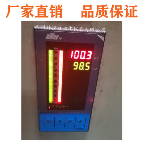 东辉数显控制仪DY21/29系列