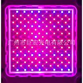厂家大功率LED灯珠 136W红蓝紫多波段植物灯灯珠多色光