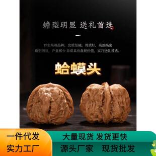文玩核桃蛤蟆头平谷元宝山地果蛤蟆头元宝核桃盘玩手把件男女现代