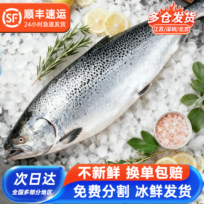 整条冰鲜三文鱼鲜承进口