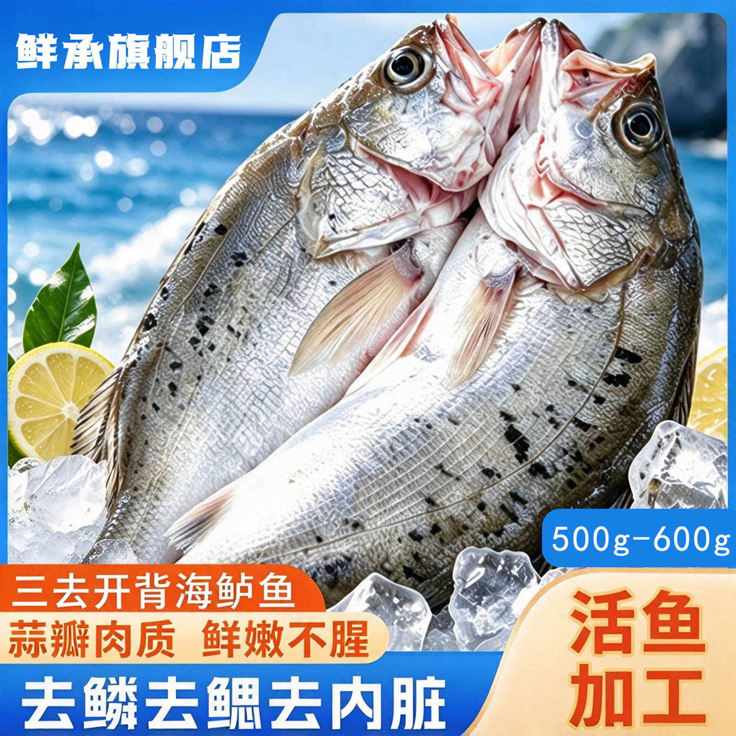鲜承三去开背海鲈鱼烧烤半成品