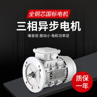 YE2 YS8024 4三相220V交流电机纯铜芯0.75KW马达 80M2