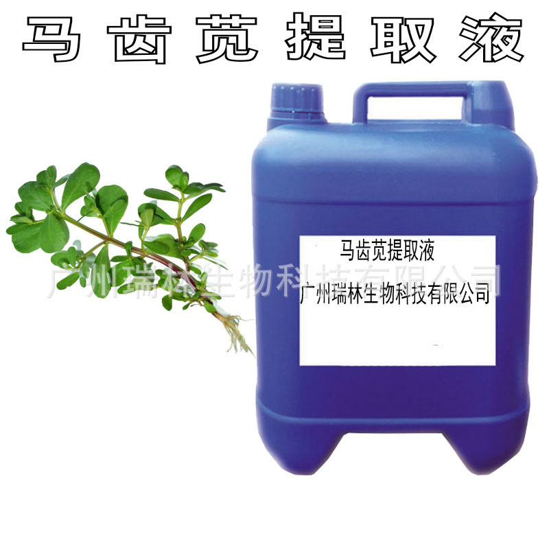 供应 马齿苋提取液 马齿苋萃取液 各类提取液 植物提取液1KG起订