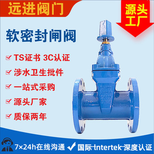 地埋式 16Q球墨铸铁DN100源头工厂 软密封暗杆法兰闸阀SZ45X