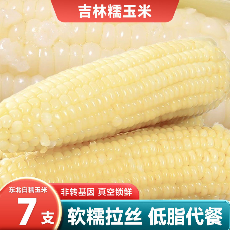 东北白甜糯玉米棒7支当季新货新鲜现摘头茬东北粘苞米大棒非即食