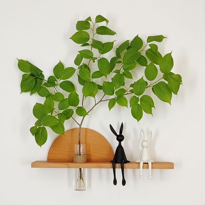 实木壁挂花瓶装饰画水培器置物架