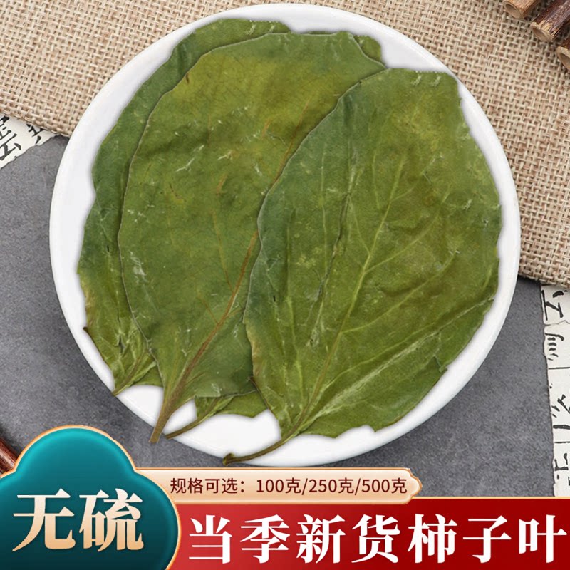 柿子叶中药材500g克干柿子叶新鲜干货霜后新货可搭荷叶白芥子山楂