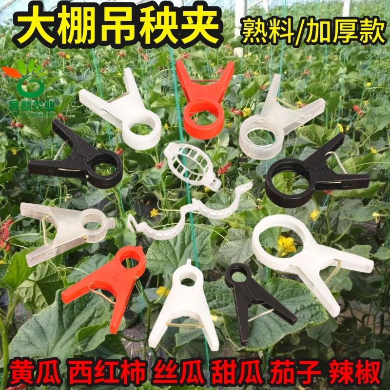农用大棚吊秧夹子黄瓜番茄辣椒西红柿绑蔓落秧嫁接吊秧夹