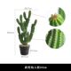 厂家直销武伦仙人掌盆栽仿真植物服装 店橱窗装 饰景观造景绿植