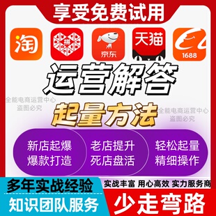 网店运营问题在线解答指导店铺诊断万象台随心推推广人群权重投产