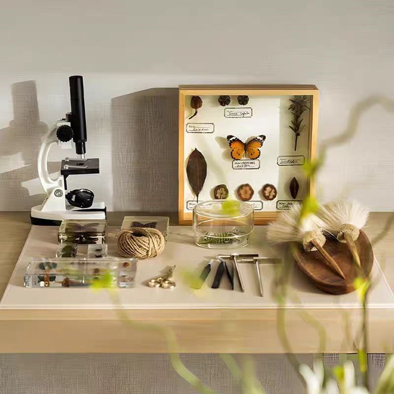 简约现代样板间实验室植物主题昆虫标本装饰画Q标本书房组合装饰