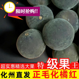 半斤~2斤袋装化州化橘红10年干果