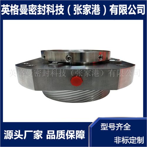 H75F2前置泵自由端机械密封