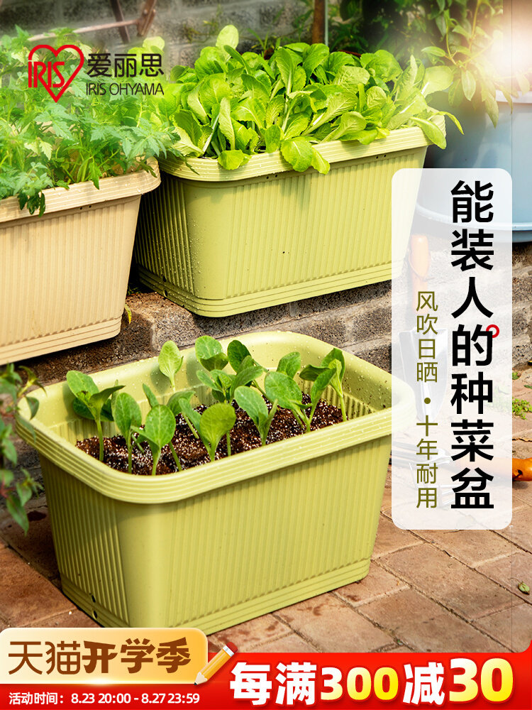 爱丽思阳台菜盆家庭蔬菜种菜盆专用箱室内长条花盆塑料种植爱丽丝