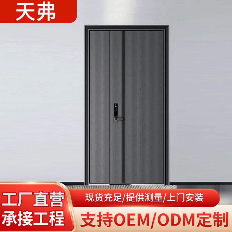 天弗甲级防盗门家用进户门现代简约入户子母门单开大门别墅铸铝门