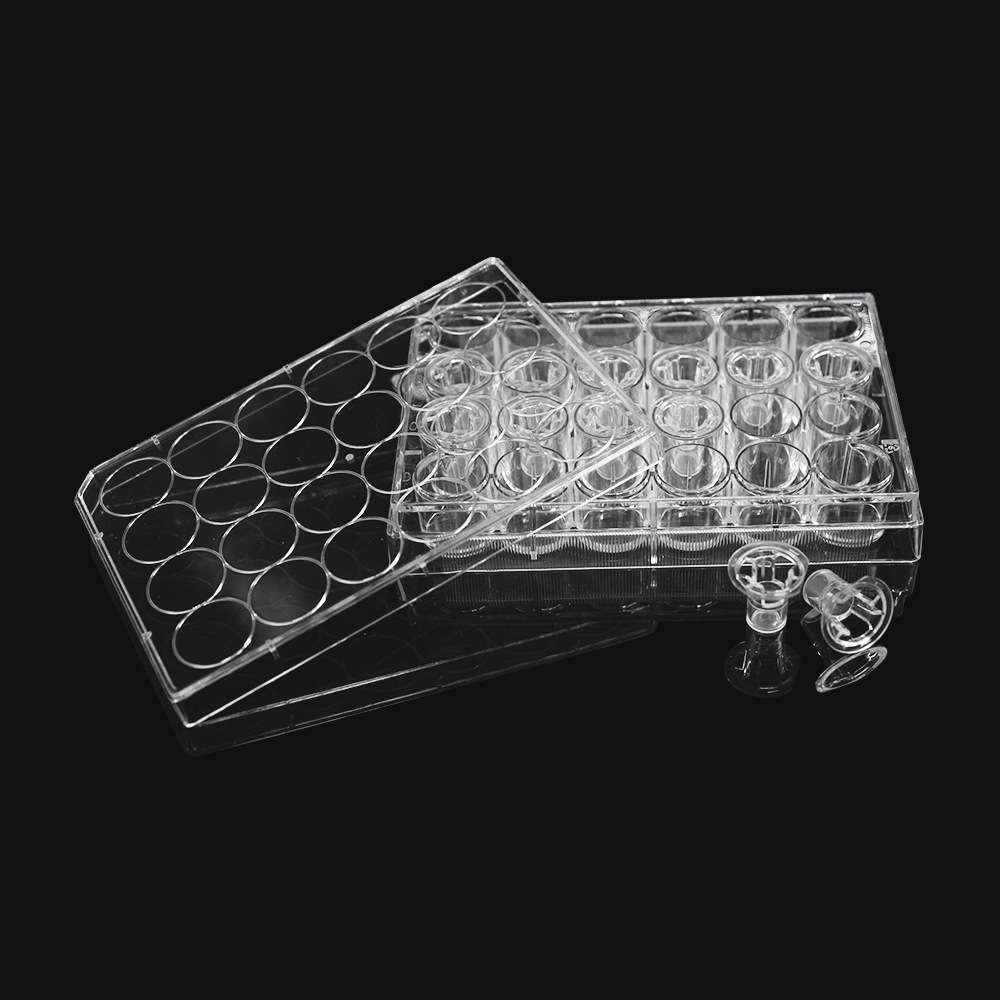 LABSELECT(甄选) 细胞培养小室,含24孔板(PC膜,6.5mm,孔径8μm)