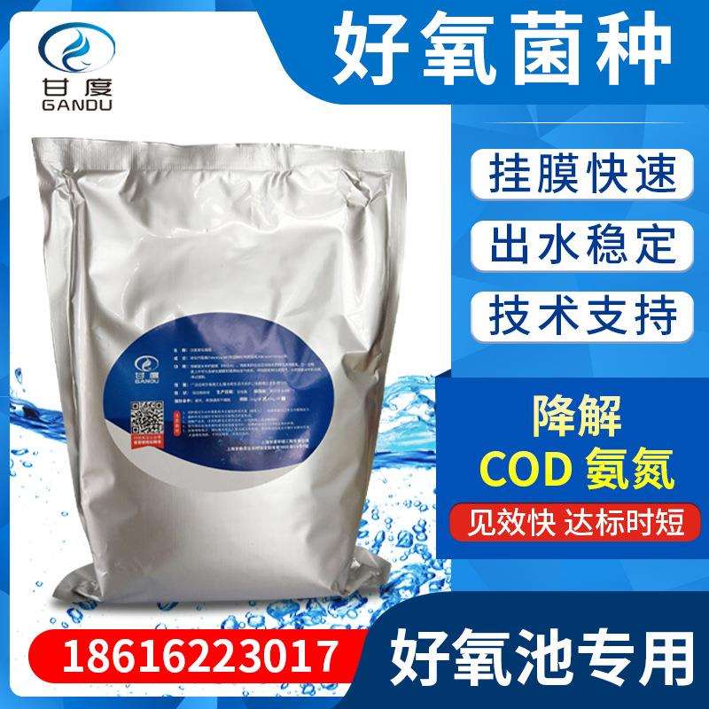 好氧菌种/好氧池专用菌/喜氧菌/曝气池污水处理菌/降氨氮菌剂甘度