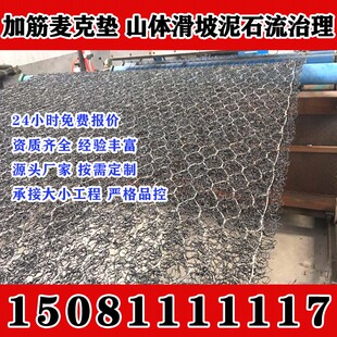 海南加筋麦克垫聚丙烯河道护坡生态绿化生态修复三维植被网固土植