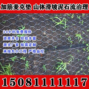 宁夏加筋麦克垫三维植被网垫雷诺护垫土工河道护坡生态网高尔凡保