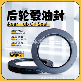 10045884 3103 216 702 3客车公交车免维护后轮毂油封 00933