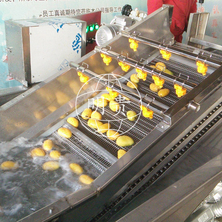 芒果清洗流水线大青芒鼓泡清洗机凯特芒水果气泡清洗设备
