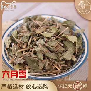 六月雪中药材中草药 路边荆 白马骨 满天星 路边姜 天星木 500克