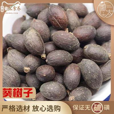 葵树子籽蒲扇中药材品质严选