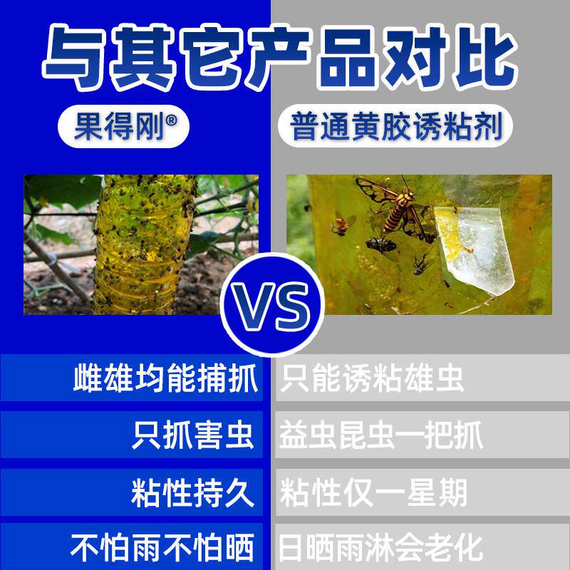 果得刚瓜果实蝇诱粘剂灭果蝇神器昆虫诱捕器针蜂克星引诱剂粘胶板