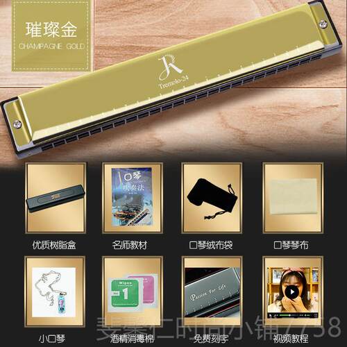 新品嘉德瑞口琴者正品业初学入门儿童奏学生用成人专演级24孔复音