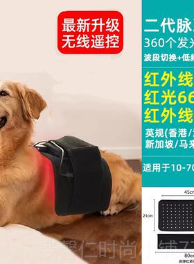 新品LED红热光物理疗腰带犬猫髌骨关节腰术椎宠加仪器光疗骨折后