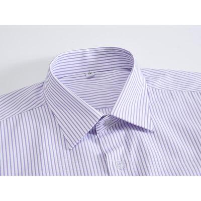 新品国大光银行行工作服男士紫色条纹衬衫光大中银同款行服衬衫