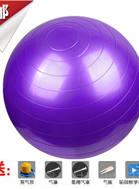 新品优质定制厚舒适爆加yo防ga瑜伽球运动健身平衡瘦身减瑜珈球肥