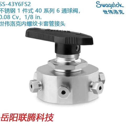 Swagelok世伟洛克（SS-43Y6FS2锈钢 1 件式 40 系列 6 通球