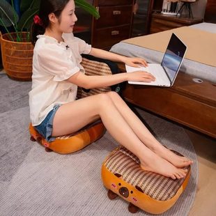 屁垫蒲坐垫书子榻榻米飘窗家用团懒人沙发坐墩垫子地垫地板阳台看
