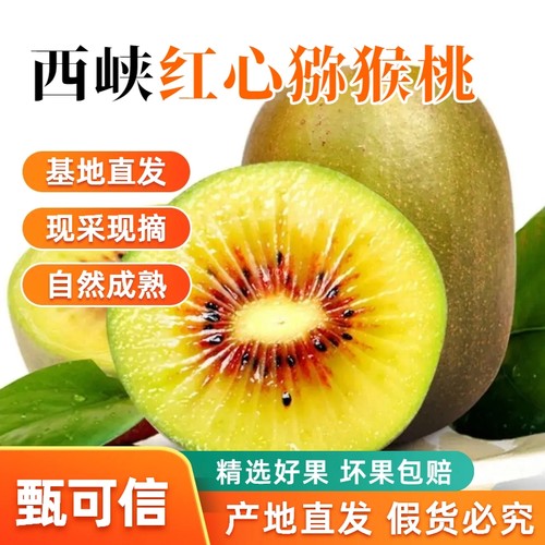 红心猕猴桃产地直发整箱包邮
