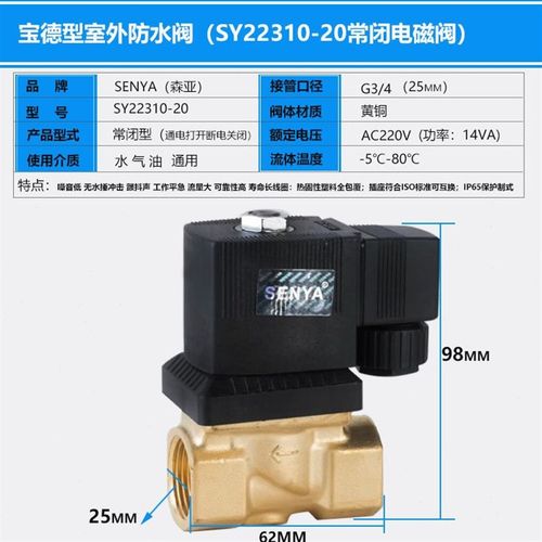 宝德型4分室外防水电磁阀o水阀2分6213-04SY22310-151寸220V