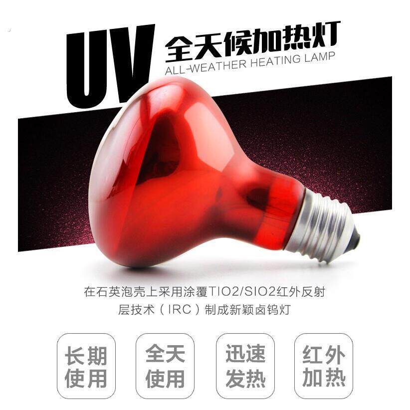 德国爬虫夜灯 爬宠加热灯陆龟蜥蜴箱守宫变色龙月光灯保温灯陶瓷