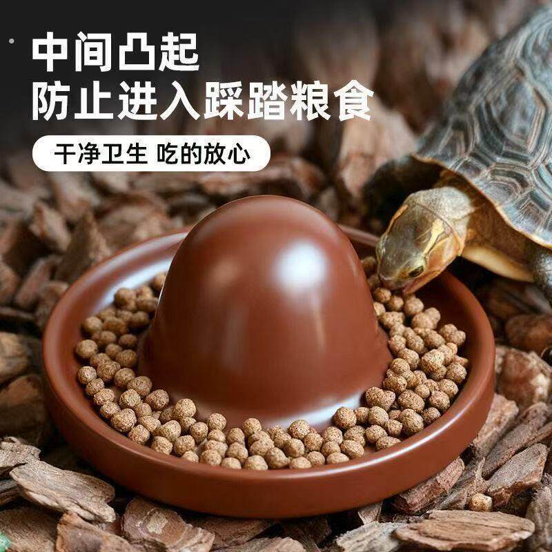 乌龟喂食器新款黄缘乌龟喂食半水龟龟苗塑料圆形食台龟箱龟缸造景