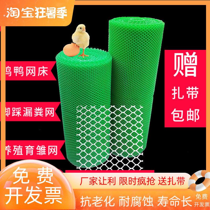 塑料平网养殖网加厚养鸡防护栏小孔网格鸡舍漏粪脚垫阳台防护封窗