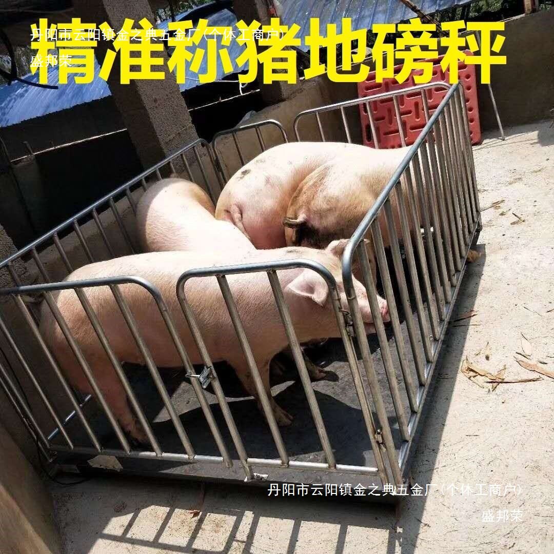 电子地磅称牛称猪地磅带围栏畜牧地磅1-3吨小型地磅秤电子秤地秤