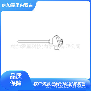 WATANABE渡边电机 日射计温度计 LPPYRA03 RWW C-H-500