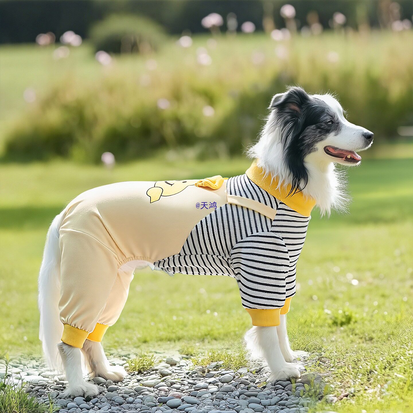 狗狗衣服春秋款四腿衣宠物边牧金毛拉布拉多中大型犬防掉毛防脏服