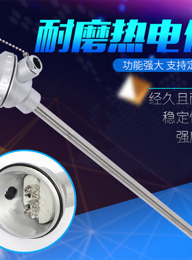 厂家供应水泥厂 电厂专用 耐磨热电偶 WRNN-330
