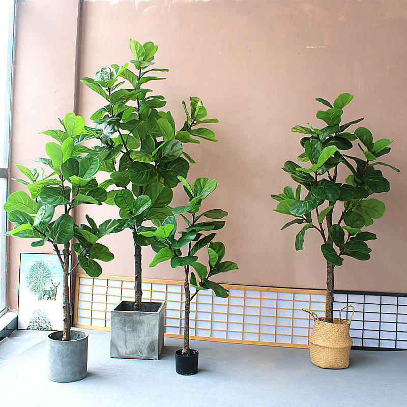 仿真琴叶榕绿植假树造景观家居客厅商场店铺橱窗酒店餐厅装饰摆件