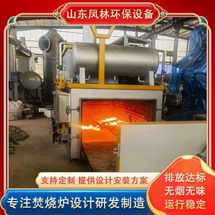大型养殖场病死动物鸡鸭鹅无害化焚烧炉动物尸体殡葬焚烧处理设备