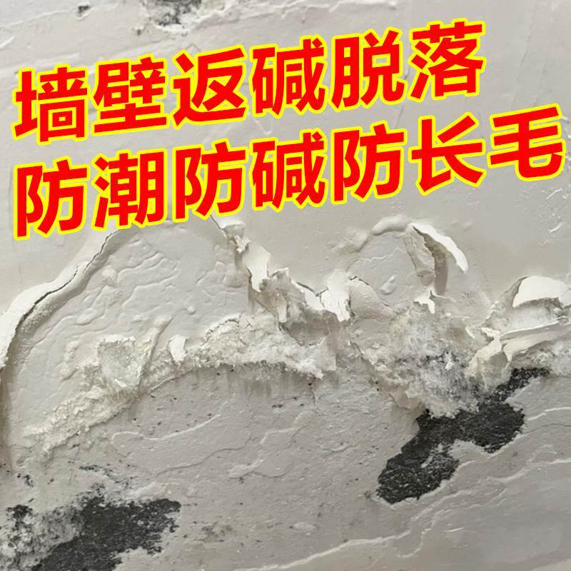 墙面防水防霉防碱墙壁修复返潮泛碱长白毛处理补墙膏腻子墙碱渗水