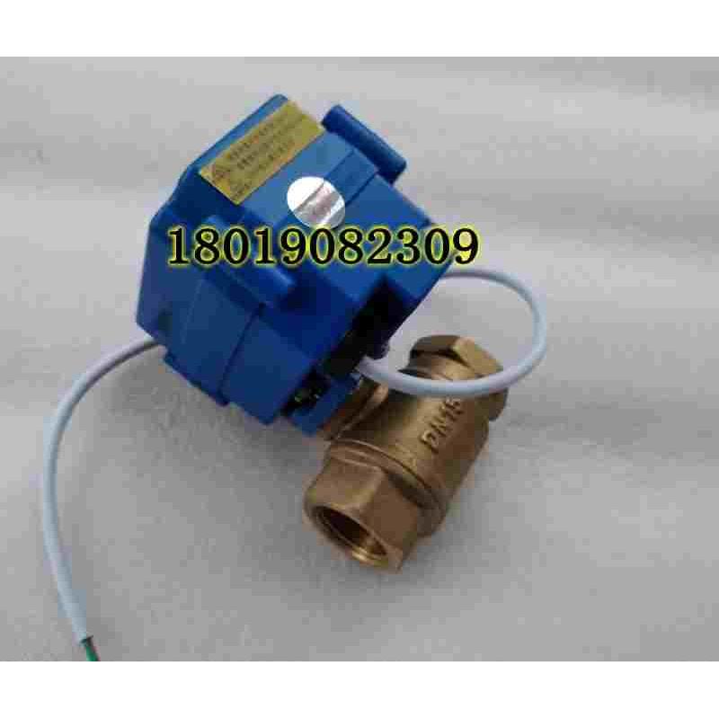 CWX-15N CR04 AC220V微型电动阀门DN15 电动铜球阀4分 电动水阀